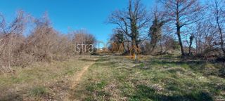 Land - Sale - ISTARSKA - SVETVINČENAT - CUKRIĆI