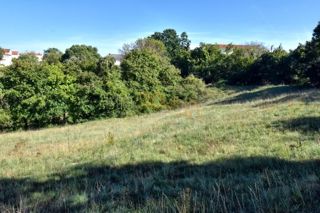 Land - Sale - ISTARSKA - SVETVINČENAT - ŠTOKOVCI