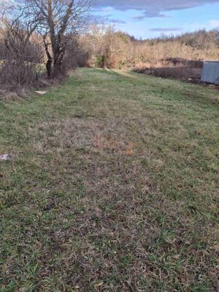 Grundstück - Verkauf - ISTARSKA - BARBAN - GRANDIĆI