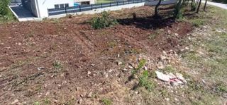 Land - Sale - ISTARSKA - SVETVINČENAT - JURŠIĆI