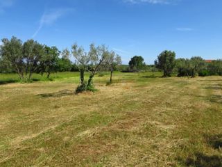Zemljište - Prodaja - ISTARSKA - VODNJAN - PEROJ