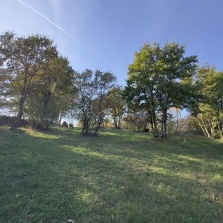 Land - Sale - ISTARSKA - SVETVINČENAT - REŽANCI