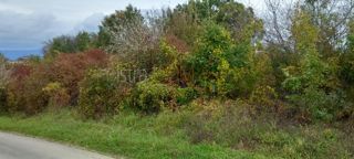 Zemljište - Prodaja - ISTARSKA - PAZIN - KAŠĆERGA