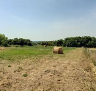 Land - Sale - ISTARSKA - MARČANA - KRNICA