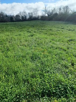 Grundstück - Verkauf - ISTARSKA - ŽMINJ - KLIMNI