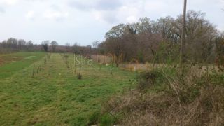 Land - Sale - ISTARSKA - SVETVINČENAT - JURŠIĆI