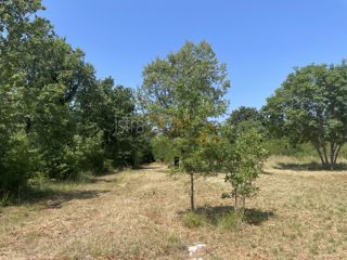 Zemljište - Prodaja - ISTARSKA - MARČANA - KRNICA