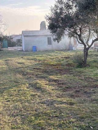 Land - Sale - ISTARSKA - LIŽNJAN - ŠIŠAN