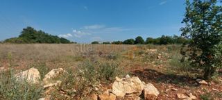 Zemljište - Prodaja - ISTARSKA - LIŽNJAN - ŠIŠAN