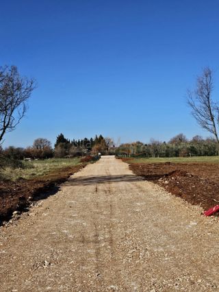 Grundstück - Verkauf - ISTARSKA - MARČANA - LOBORIKA