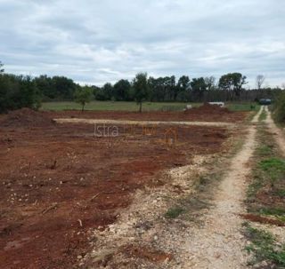 Land - Sale - ISTARSKA - LIŽNJAN - VALTURA