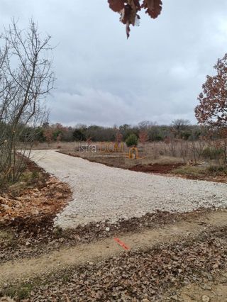 Land - Sale - ISTARSKA - SVETVINČENAT - JURŠIĆI