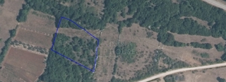 Zemljište - Prodaja - ISTARSKA - BALE - BALE