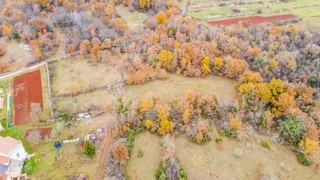 Land - Sale - ISTARSKA - GROŽNJAN - GROŽNJAN