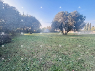 Zemljište - Prodaja - ISTARSKA - UMAG - SVETA MARIJA NA KRASU