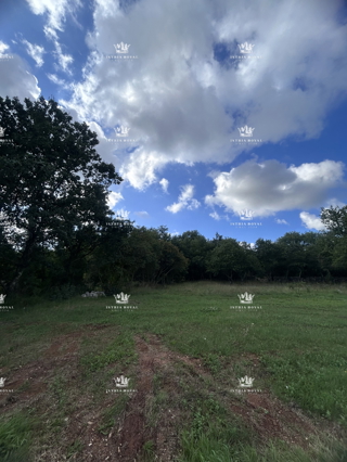 Land - Sale - ISTARSKA - POREČ - BADERNA