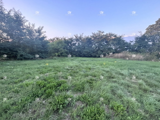 Land - Sale - ISTARSKA - GROŽNJAN - GROŽNJAN