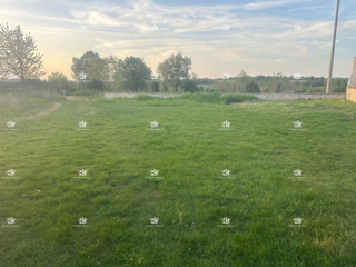 Land - Sale - ISTARSKA - UMAG - MURINE
