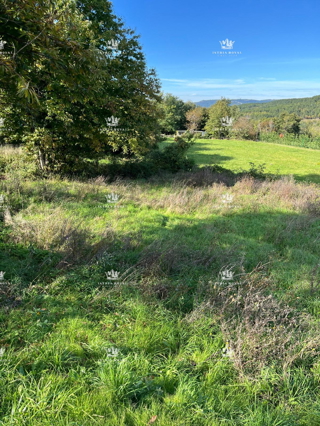 Grundstück - Verkauf - ISTARSKA - KAROJBA - KAROJBA