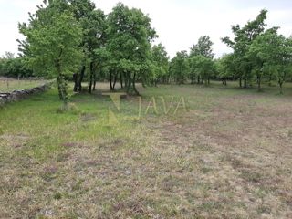 Land - Sale - ISTARSKA - SVETVINČENAT - SMOLJANCI