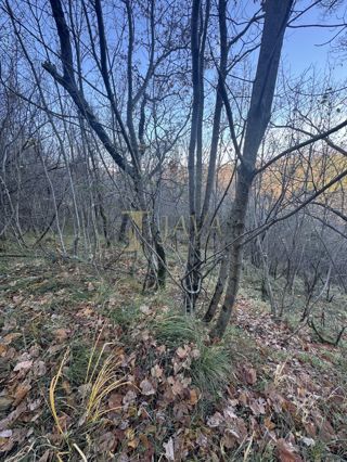 Land - Sale - ISTARSKA - CEROVLJE - DRAGUĆ