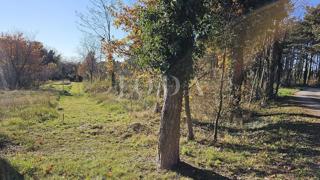 Zemljište - Prodaja - ISTARSKA - LABIN - LABIN