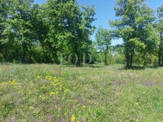 Zemljište - Prodaja - ISTARSKA - LABIN - LABIN