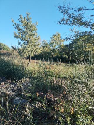 Grundstück - Verkauf - ISTARSKA - LABIN - LABIN