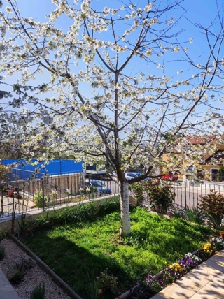 Wohnung - Verkauf - PRIMORSKO-GORANSKA - KOSTRENA - DORIČIĆI