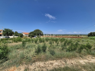 Land - Sale - ISTARSKA - POREČ - POREČ