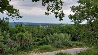 Land - Sale - ISTARSKA - GROŽNJAN - GROŽNJAN