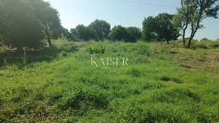Land - Sale - ISTARSKA - PULA - PULA