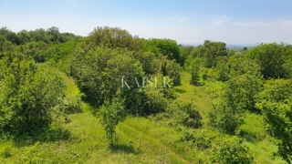 Zemljište - Prodaja - ISTARSKA - POREČ - POREČ