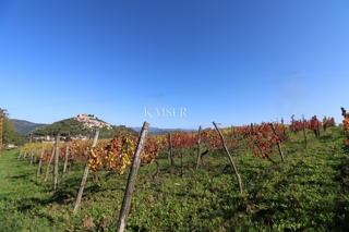 Land - Sale - ISTARSKA - MOTOVUN - MOTOVUN