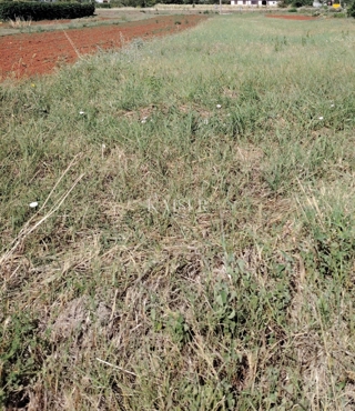 Zemljište - Prodaja - ISTARSKA - MARČANA - MARČANA