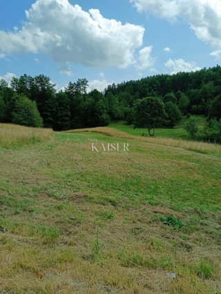 Grundstück - Verkauf - PRIMORSKO-GORANSKA - RAVNA GORA - STARI LAZ