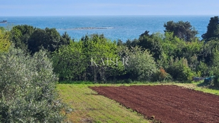 Land - Sale - ISTARSKA - UMAG - ZAMBRATIJA