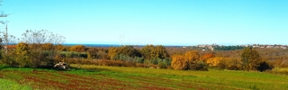 Zemljište - Prodaja - ISTARSKA - SVETI LOVREČ - SVETI LOVREČ PAZENATIČKI