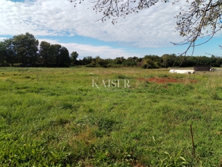 Zemljište - Prodaja - ISTARSKA - UMAG - ČEPLJANI