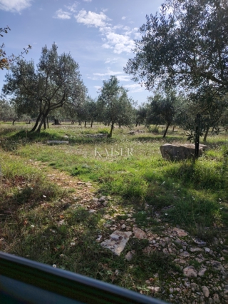 Zemljište - Prodaja - ISTARSKA - VODNJAN - VODNJAN