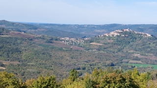 Grundstück - Verkauf - ISTARSKA - MOTOVUN - MOTOVUN