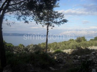 Grundstück - Verkauf - SPLITSKO-DALMATINSKA - JELSA - ZASTRAŽIŠĆE