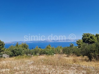 Land - Sale - SPLITSKO-DALMATINSKA - BRAČ - SUTIVAN