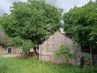 Land - Sale - ZADARSKA - ZEMUNIK DONJI - ZEMUNIK DONJI