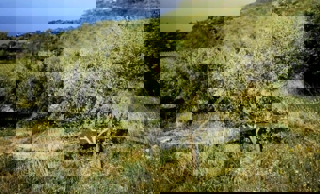 Land - Sale - SPLITSKO-DALMATINSKA - BRELA - BRELA