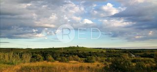 Land - Sale - ISTARSKA - BUJE - BUJE