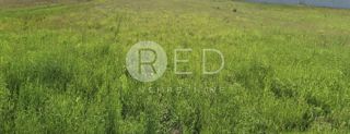 Land - Sale - GRAD ZAGREB - ZAGREB - SESVETSKI KRALJEVEC