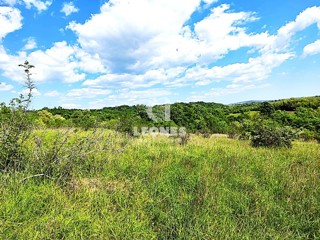 Zemljište - Prodaja - ISTARSKA - UMAG - MATERADA
