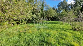 Land - Sale - PRIMORSKO-GORANSKA - KRK - OMIŠALJ