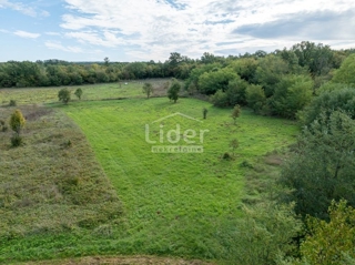 Grundstück - Verkauf - ISTARSKA - POREČ - KIRMENJAK